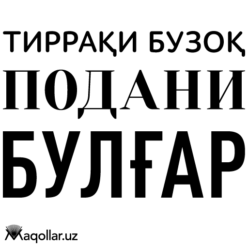 tirraqi buzoq